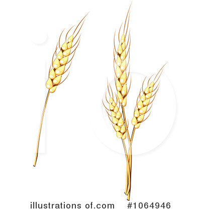 Royalty-Free (RF) Wheat Clipart Illustration by Vector Tradition SM - Stock Sample #1064946
