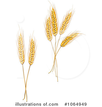 Royalty-Free (RF) Wheat Clipart Illustration by Vector Tradition SM - Stock Sample #1064949