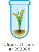 Wheat Clipart #1093006 by Lal Perera