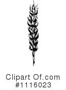 Wheat Clipart #1116023 by Prawny Vintage