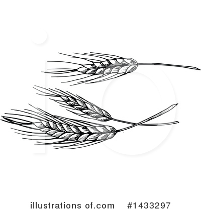 Royalty-Free (RF) Wheat Clipart Illustration by Vector Tradition SM - Stock Sample #1433297