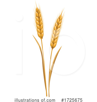 Royalty-Free (RF) Wheat Clipart Illustration by Vector Tradition SM - Stock Sample #1725675