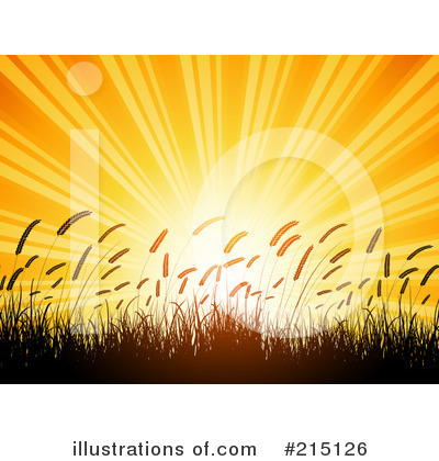 Wheat Clipart #215126 by KJ Pargeter
