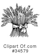 Wheat Clipart #34579 by C Charley-Franzwa