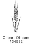 Wheat Clipart #34582 by C Charley-Franzwa