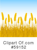Wheat Clipart #59152 by elaineitalia