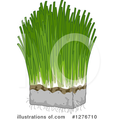 Grass Clipart #1276710 by BNP Design Studio