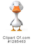 White Duck Clipart #1285463 by Julos