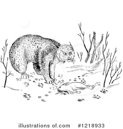 Royalty-Free (RF) Wildcat Clipart Illustration by Picsburg - Stock Sample #1218933