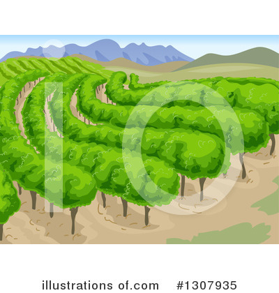 Royalty-Free (RF) Winery Clipart Illustration by BNP Design Studio - Stock Sample #1307935