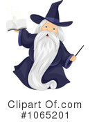 Wizard Clipart #1065201 by BNP Design Studio