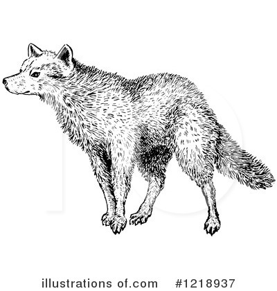 Royalty-Free (RF) Wolf Clipart Illustration by Picsburg - Stock Sample #1218937