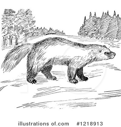 Royalty-Free (RF) Wolverine Clipart Illustration by Picsburg - Stock Sample #1218913