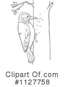 Woodpecker Clipart #1127758 by Picsburg