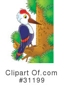 Woodpecker Clipart #31199 by Alex Bannykh