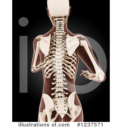 Royalty-Free (RF) Xray Clipart Illustration by KJ Pargeter - Stock Sample #1237571