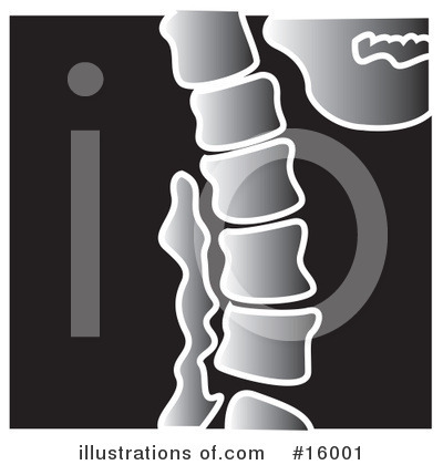 Spine Clipart #16001 by Andy Nortnik