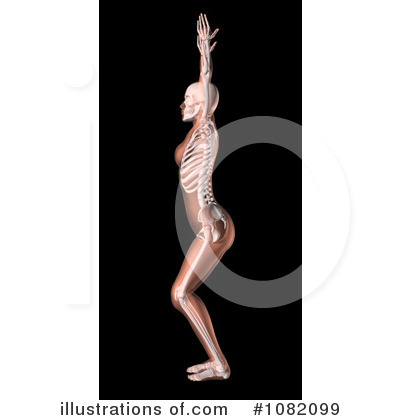 Royalty-Free (RF) Yoga Clipart Illustration by KJ Pargeter - Stock Sample #1082099