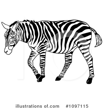 Royalty-Free (RF) Zebra Clipart Illustration by dero - Stock Sample #1097115