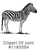 Zebra Clipart #1180554 by Prawny Vintage