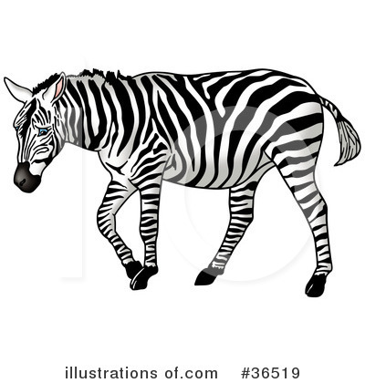 Royalty-Free (RF) Zebra Clipart Illustration by dero - Stock Sample #36519