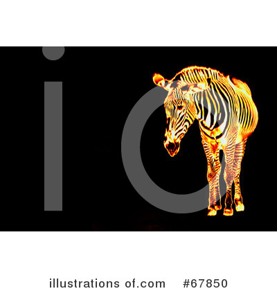 Royalty-Free (RF) Zebra Clipart Illustration by Arena Creative - Stock Sample #67850
