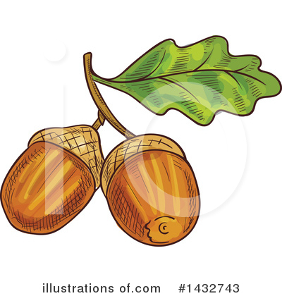 Acorn Clipart #1432743 by Vector Tradition SM
