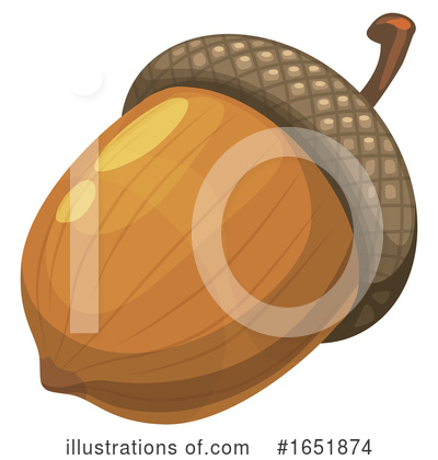Acorn Clipart #1651874 by Vector Tradition SM