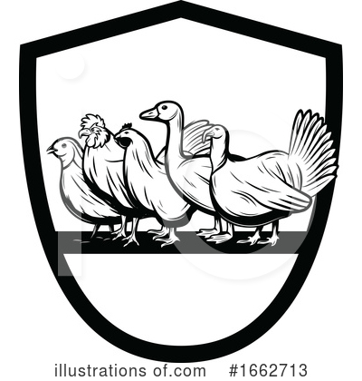 Turkey Bird Clipart #1662713 by Vector Tradition SM
