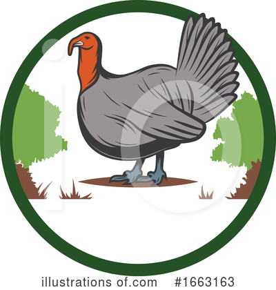 Turkey Bird Clipart #1663163 by Vector Tradition SM