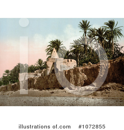 Royalty-Free (RF) Algeria Clipart Illustration by JVPD - Stock Sample #1072855