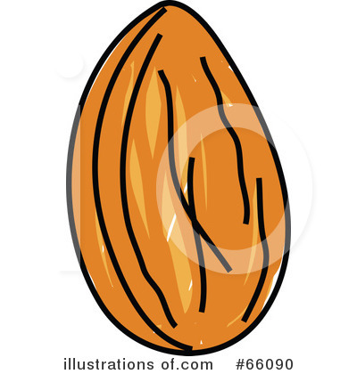 Royalty-Free (RF) Almond Clipart Illustration by Prawny - Stock Sample #66090