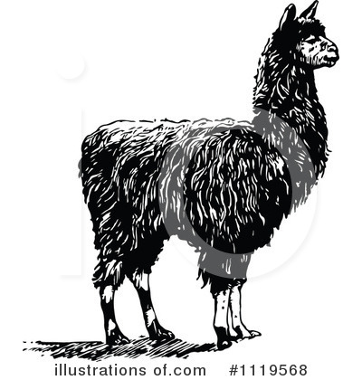 Royalty-Free (RF) Alpaca Clipart Illustration by Prawny Vintage - Stock Sample #1119568