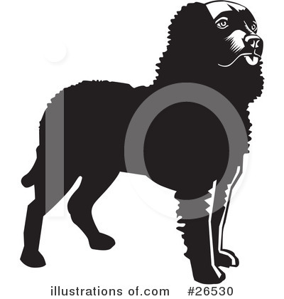 American Water Spaniel Clipart #26530 by David Rey
