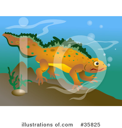 Royalty-Free (RF) Amphibian Clipart Illustration by Prawny - Stock Sample #35825