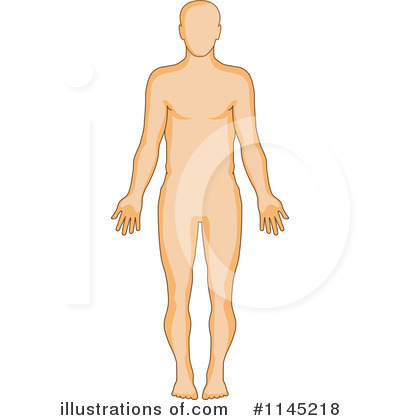 Anatomy Clipart #1145218 by patrimonio