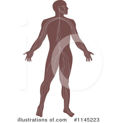 Royalty-Free (RF) Anatomy Clipart Illustration by patrimonio - Stock Sample #1145223