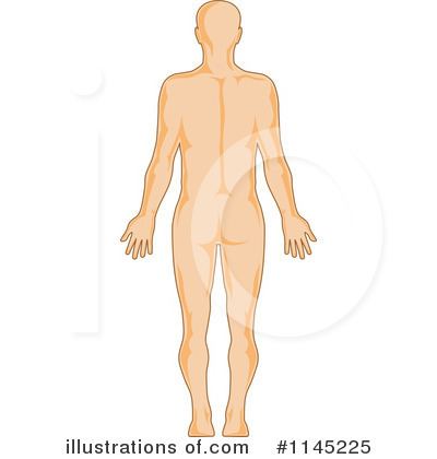Anatomy Clipart #1145225 by patrimonio