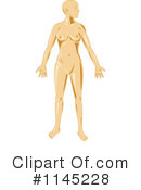 Anatomy Clipart #1145228 by patrimonio