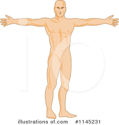Anatomy Clipart #1145231 by patrimonio