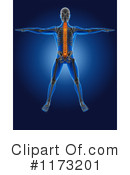 Anatomy Clipart #1173201 by KJ Pargeter