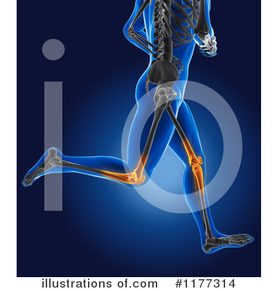 Royalty-Free (RF) Anatomy Clipart Illustration by KJ Pargeter - Stock Sample #1177314