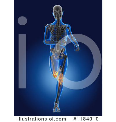 Royalty-Free (RF) Anatomy Clipart Illustration by KJ Pargeter - Stock Sample #1184010