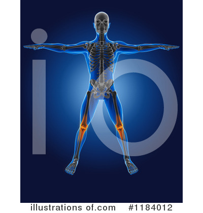 Royalty-Free (RF) Anatomy Clipart Illustration by KJ Pargeter - Stock Sample #1184012