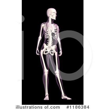 Royalty-Free (RF) Anatomy Clipart Illustration by KJ Pargeter - Stock Sample #1186384