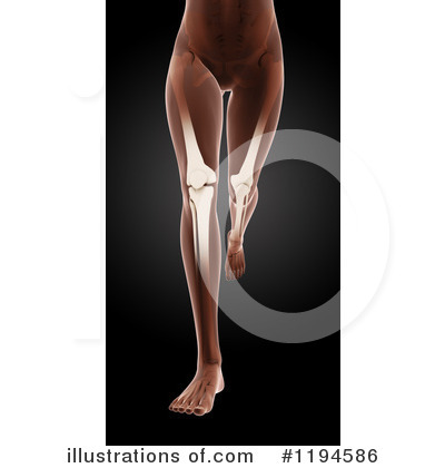 Royalty-Free (RF) Anatomy Clipart Illustration by KJ Pargeter - Stock Sample #1194586