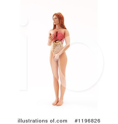 Royalty-Free (RF) Anatomy Clipart Illustration by Mopic - Stock Sample #1196826