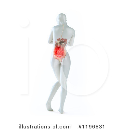 Digestion Clipart #1196831 by Mopic