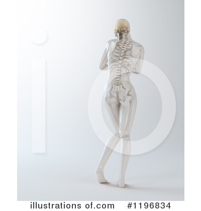 Royalty-Free (RF) Anatomy Clipart Illustration by Mopic - Stock Sample #1196834