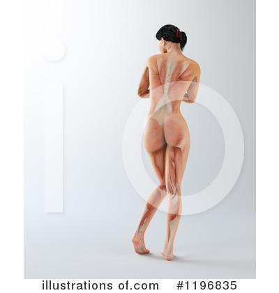 Royalty-Free (RF) Anatomy Clipart Illustration by Mopic - Stock Sample #1196835